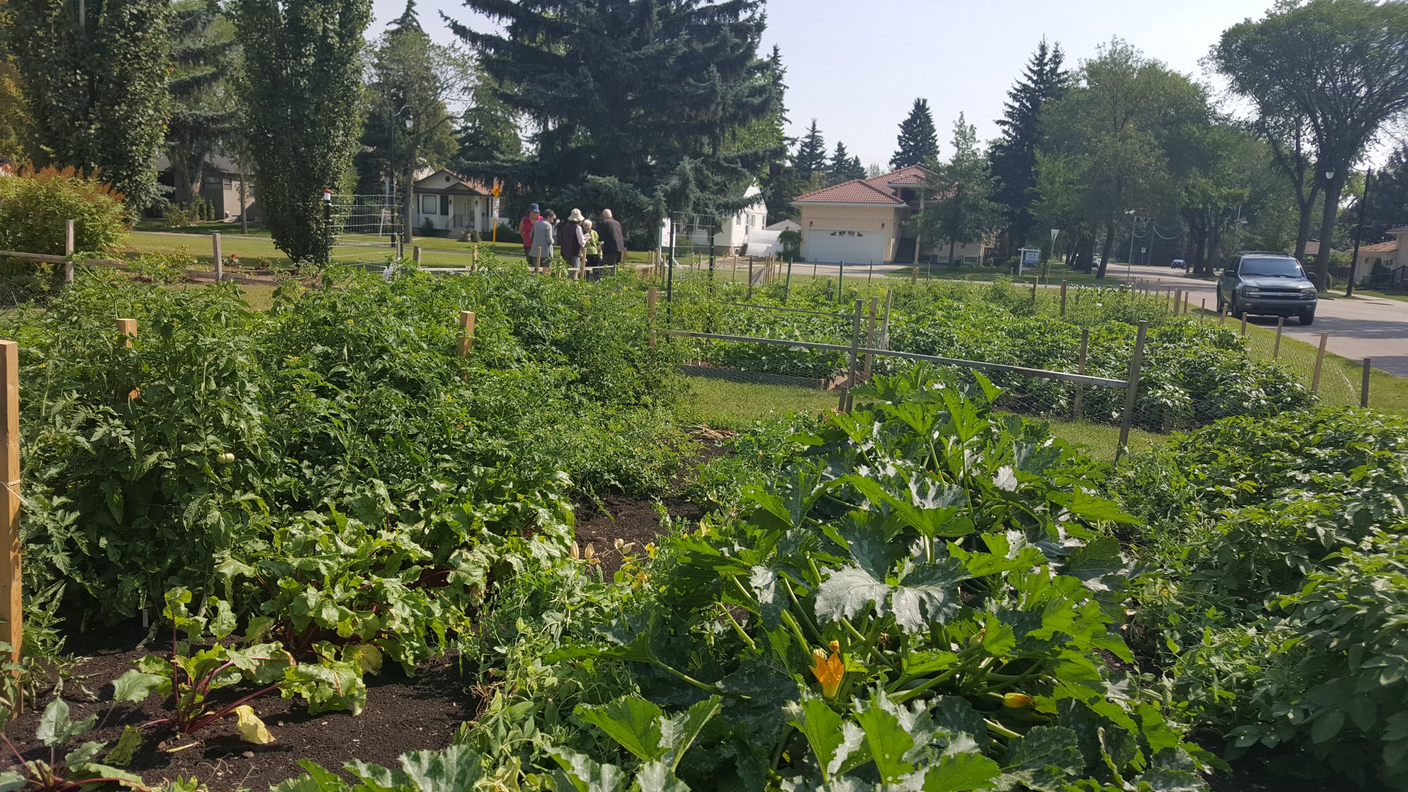 St. Andrew’s Community Garden